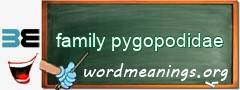 WordMeaning blackboard for family pygopodidae